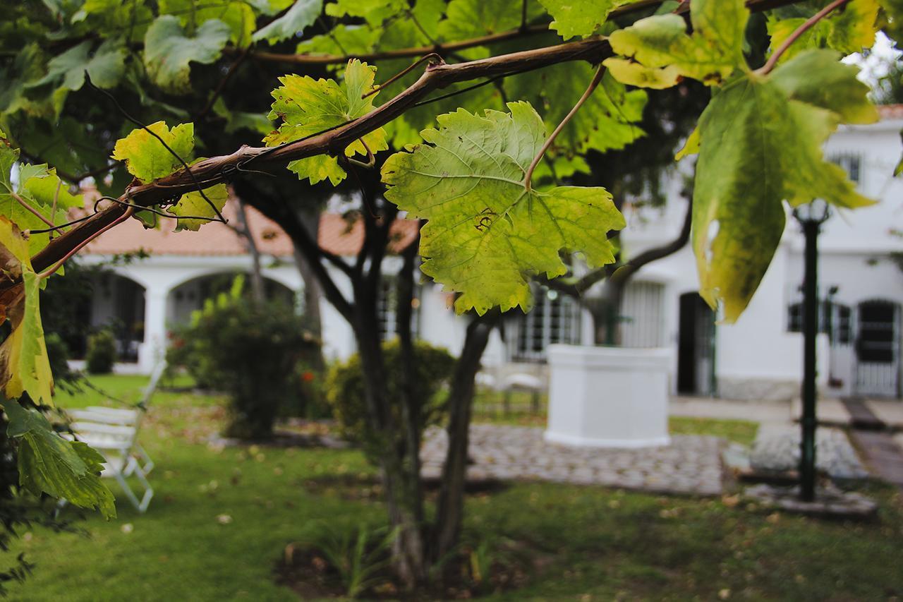 Chiara Lodge Chacras de Coria Exterior foto